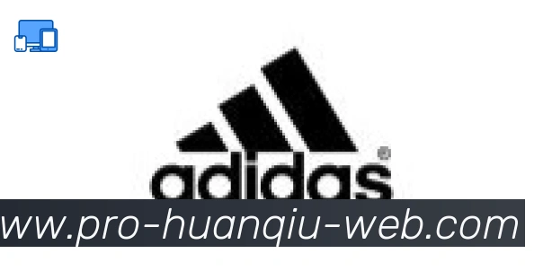 环球体育官网合作伙伴
